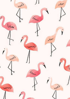 flamingo's  oasis