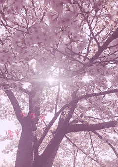 私、逆高校デビューします！