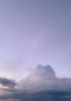 ヘレボルスの花束を