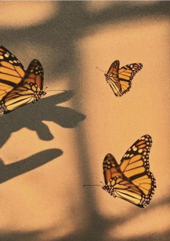 Can you love me like that 