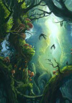 森の中の図書館【em】