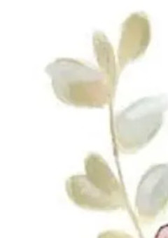 何故ですか？
