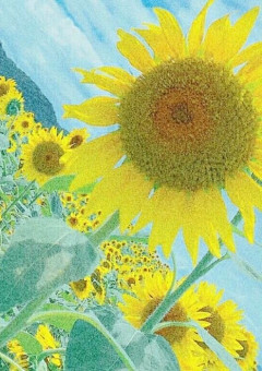 SixTONESの紅一点は田中樹の妹