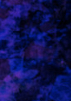 鬼を連れた鬼殺隊士がまた現れたらしい【鬼滅の刃】