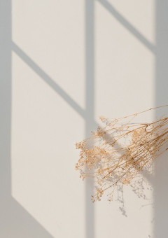 アイドル卒業します。