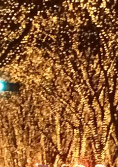 夜空に舞い落ちる雪結晶(キセキ)