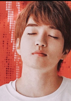 西 畑 く ん の 彼 女 は .