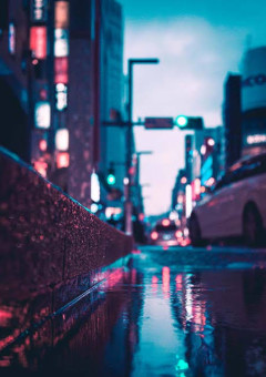 雨 の 日 に 、貴 方 と 此 処 で ま た 出 逢 う 。