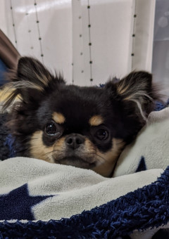 雑談しようぜべいべー？‪w