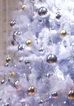 Advent Calendar 2021