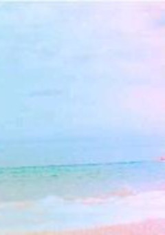 紅一点裏切りの曲まとめ。