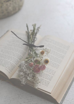 m y _ p a s t _ s e l f