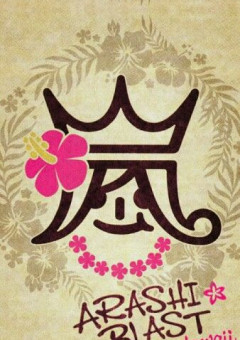 魔法少年あらし☆マギカ