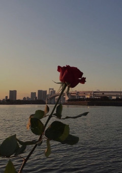 遊び人に恋した私