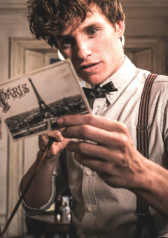 ニュートスキャマンどぅぁ