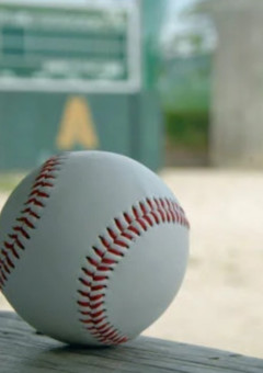 全員野球。～ひと夏に掛ける野球ボールへの想い〜