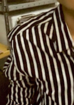 わんこな彼とねこの俺