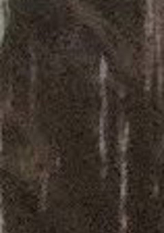 鬱日記〜鬱の私の日常日記〜