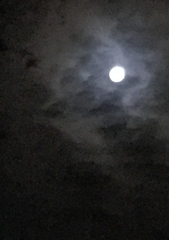 SixTONESの紅一点ちゃん