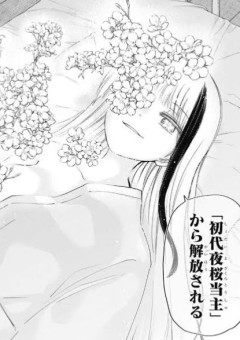 夜桜の姫