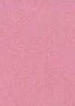 天使がお家にやってきた！