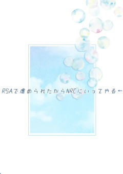 RSAで虐められたからNRC行ってやる←