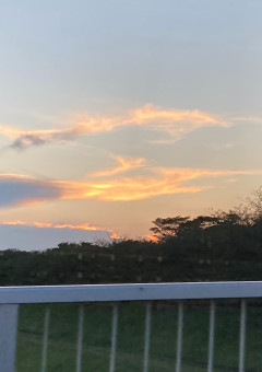 抱き締めて、愛して。