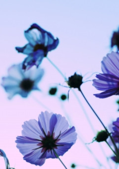 病院生活は楽しいの……？