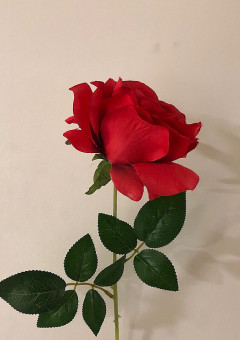 薔薇