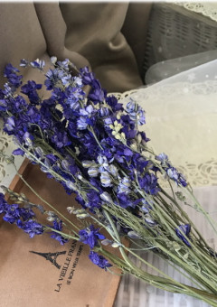 嵐さん 短編集 ✈