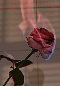 _人狼村へ、ようこそ。_