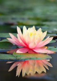 出会いは最悪でした