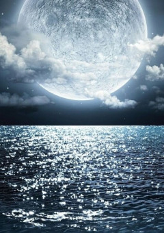 後悔してくれる?