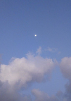 溺愛しちゃってごめんね