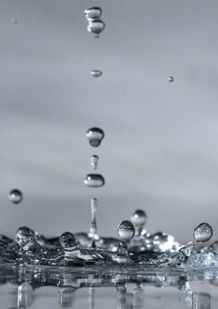 乙女ゲームの世界に転生しました