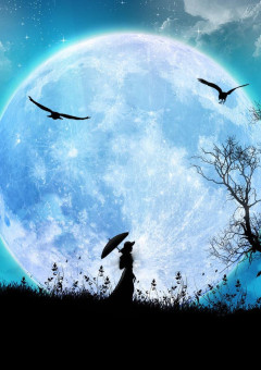 ちょっとしたお部屋