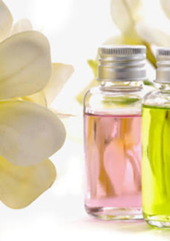 可愛い悪戯🔱🐯