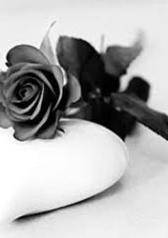 ヒョンが教えてあげる、🐯