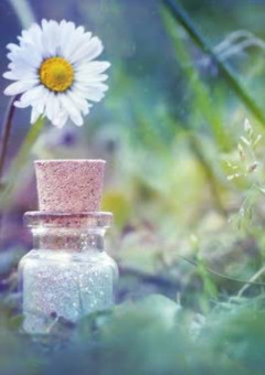 人気者の君は、🐰