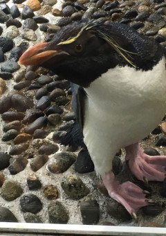 stpr短編集（🔞あり）