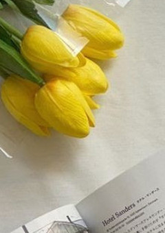 学 ぱ ろ  だけ    ！ ！