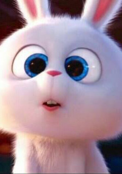 宣伝部屋＼( 'ω')／