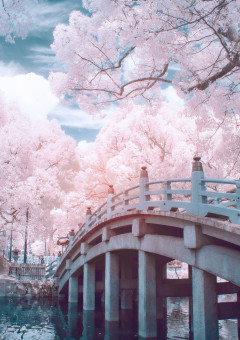 歌 い 手 : T w i t t e r に て 。