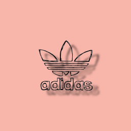私