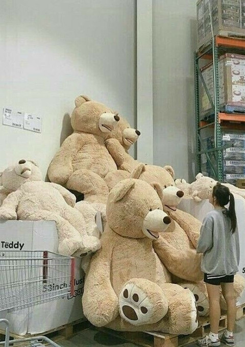 永瀬さんの彼女さんは紅一点がーるです 全31話 連載中 そると さんの夢小説 無料スマホ夢小説ならプリ小説 Bygmo