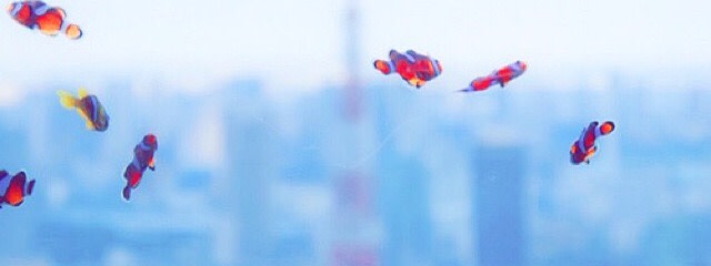 古都さんの壁紙画像