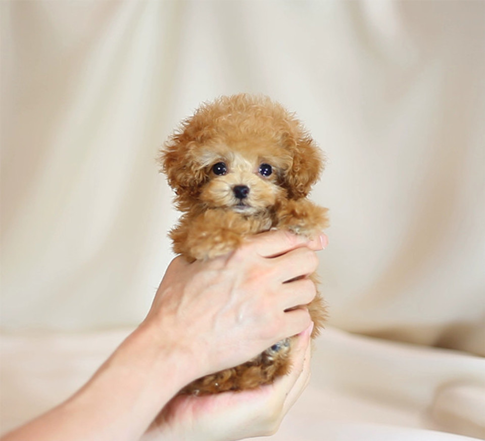 第158話 161 歌い手たちはtwitterで遊んでるみたいです 無料スマホ夢小説ならプリ小説 Bygmo