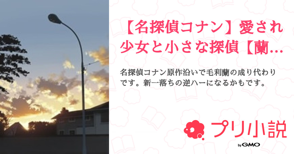 名探偵コナン 愛され少女と小さな探偵 蘭成り代わり 全31話 連載中 Yumeさんの夢小説 無料スマホ夢小説ならプリ小説 Bygmo