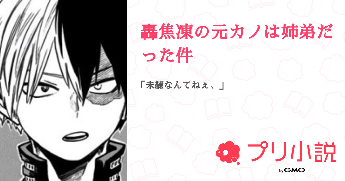 轟焦凍の元カノは姉弟だった件 Ruka さんの小説 夢小説 無料スマホ夢小説ならプリ小説 Bygmo 轟焦凍の元カノは姉弟だった件 Ruka さんの小説 夢小説 無料スマホ夢小説ならプリ小説 Bygmo