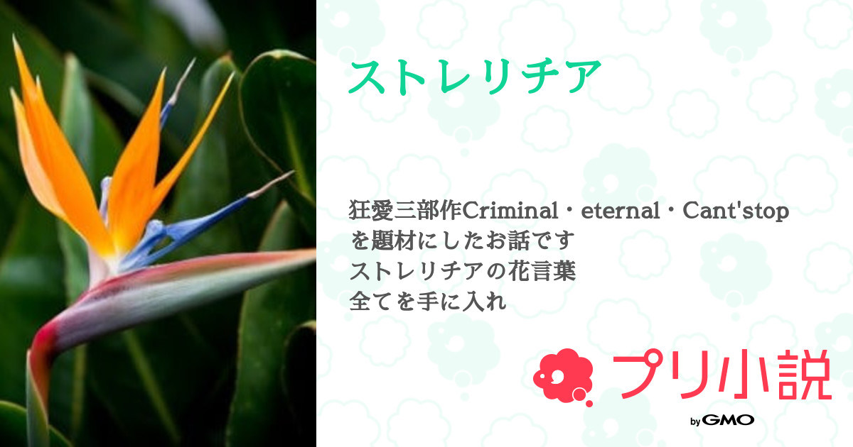 ストレリチア 全10話 連載中 お久しぶりです 如月モカですさんの夢小説 無料スマホ夢小説ならプリ小説 Bygmo ストレリチア 全10話 連載中 お久しぶりです 如月モカですさんの夢小説 無料スマホ夢小説ならプリ小説 Bygmo